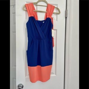 Shoshanna Dress